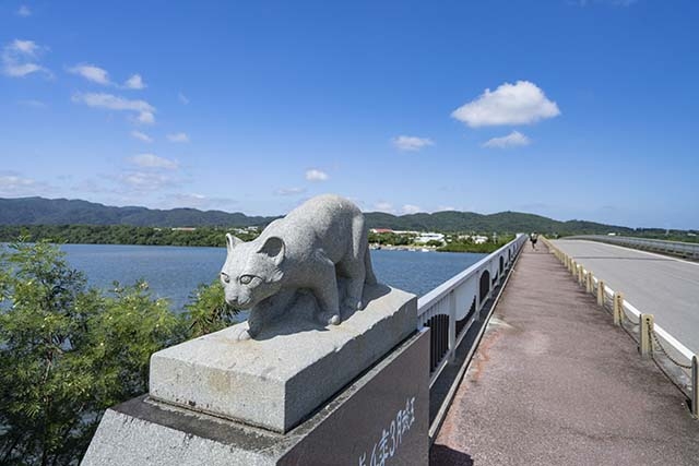 仲間橋の欄干にもイリオモテヤマネコが！