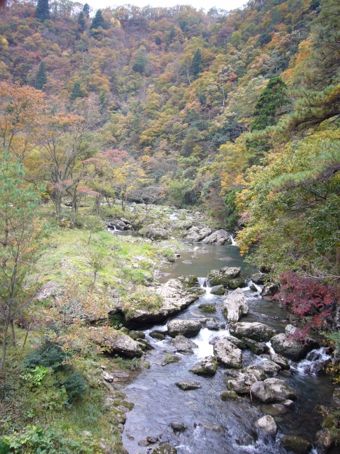 加能八景にも選ばれた渓谷「荒俣峡」（小松市）