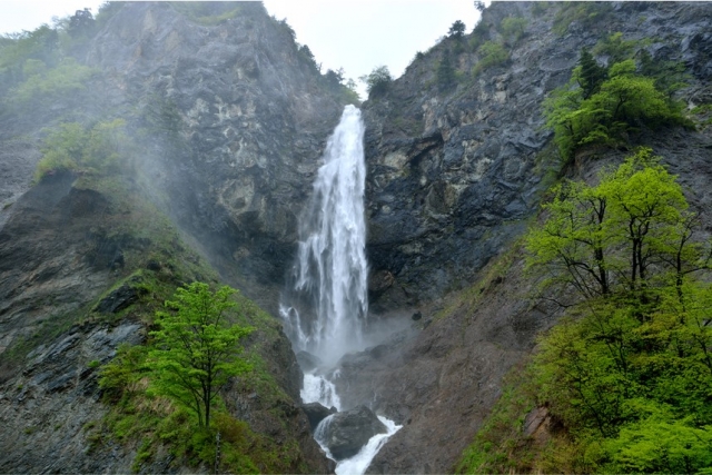 ホワイトロード随一の滝「ふくべの大滝」（白山市）