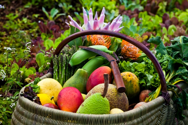 新鮮なハワイの野菜や果実<br />© Hawaii Tourism Authority