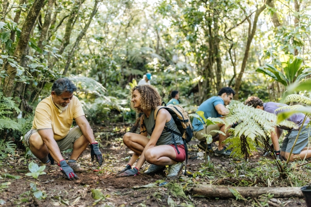 自然資源の保護活動<br />© Hawaii Tourism Authority (HTA) / Heather Goodman