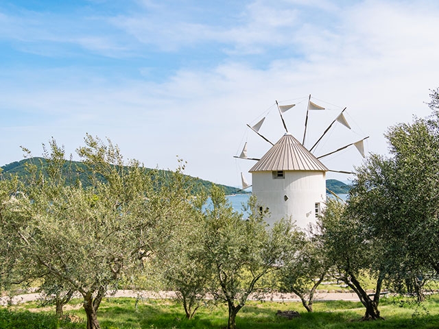 道の駅「小豆島オリーブ公園」のオリーブ畑とギリシャ風車　©istock