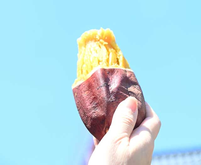 冷し焼き芋100g198円