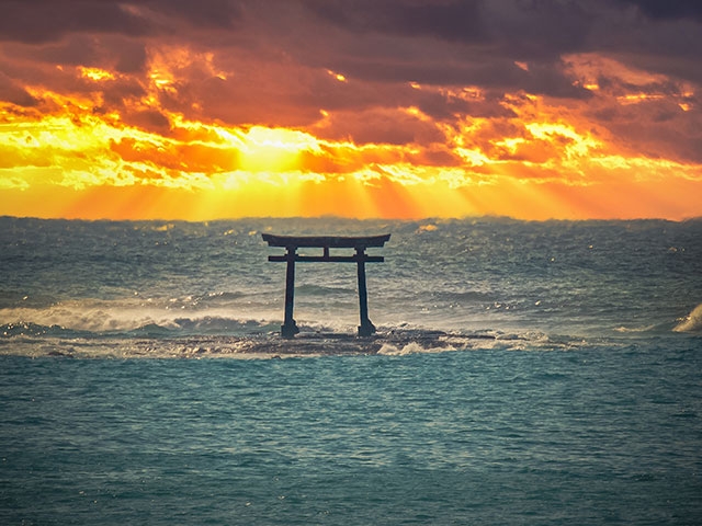 千葉の神社を参拝して新しいことを始めよう！