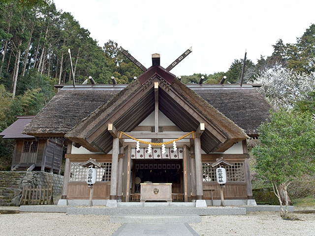 【高家神社】今年こそ料理の腕を上げたい！と願うならこの神社へ