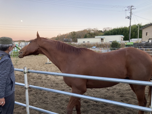 アメリカ生まれの名馬オーブルチェフ