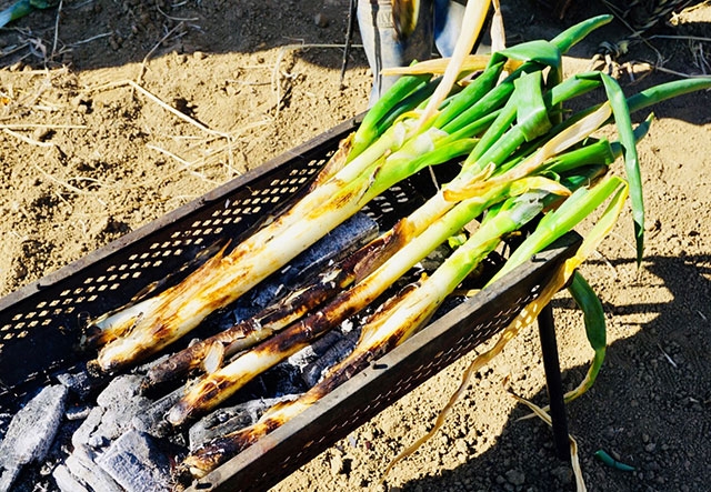 やわらかくて甘い！熊谷産妻沼ネギのおいしい食べ方