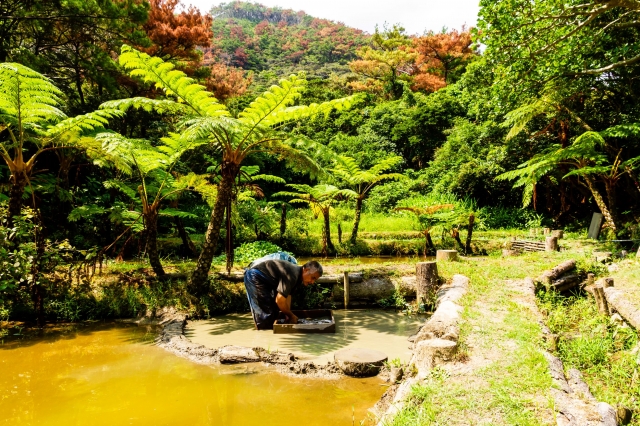 泥田で糸を染める泥染め。体力と根気のいる作業だ