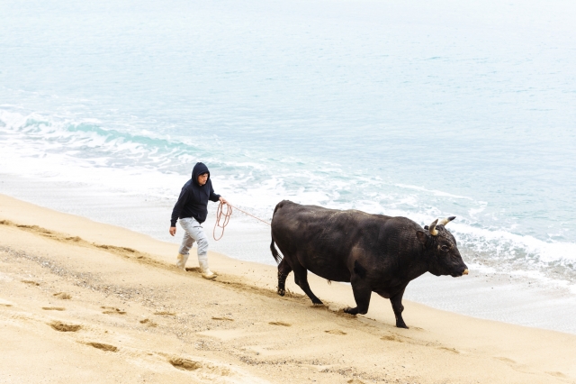 子宝と長寿の島、徳之島で結の精神にふれる