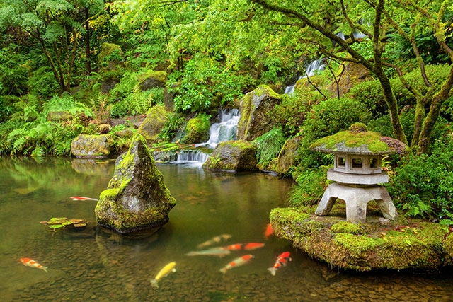 日本の魅力③　「庭園」～日本の庭園～