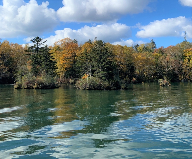 湖のほとりには紅葉した木々を眺めることができる