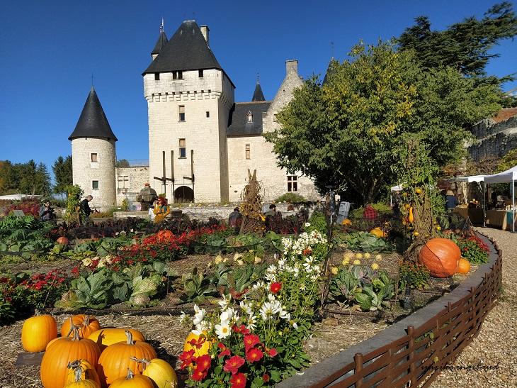 ロワール古城、リヴォ城～秋の花を堪能～ダリア、ススキ、菊、かぼちゃ（Chateau du Rivau）