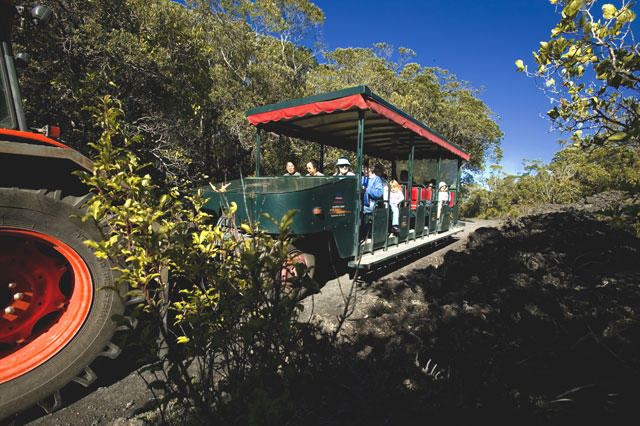 1-5 road-train.jpg