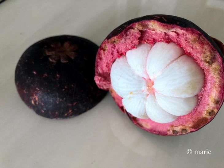 mangosteen2.jpg