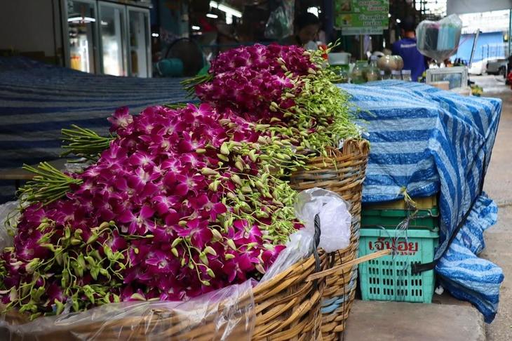 タイ最大級のフラワーマーケット「パーク・クローン花市場」 | 地球の