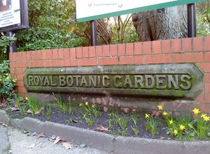 botanic1JPG.JPG