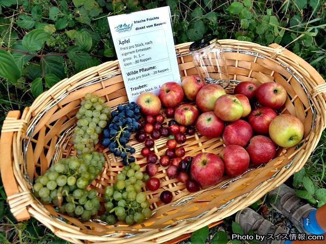 20180827_maki_zuerich_cycling_005.jpg