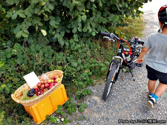 20180827_maki_zuerich_cycling_004.jpg