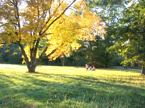 fallcolor6.JPG