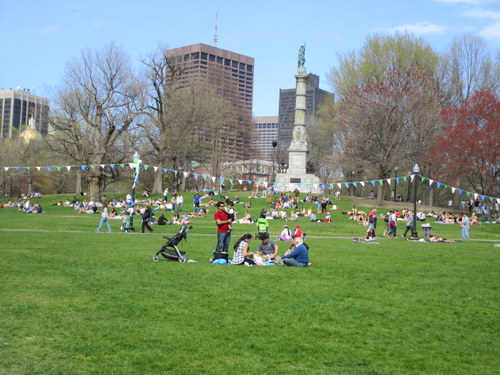 bostoncommon3.JPG