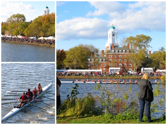 regatta3.jpg