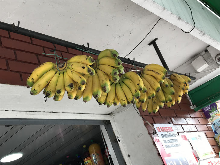 bananasa.jpg