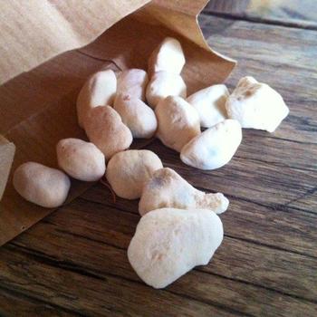 baobab seeds pieces.jpg