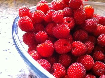 raspberries.jpg