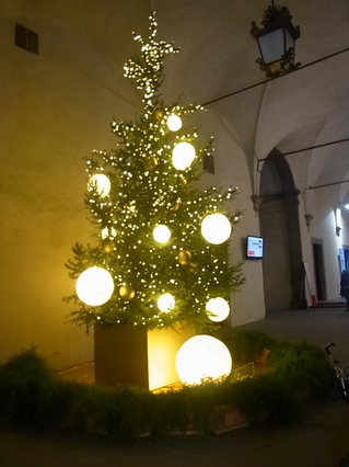 albero2.jpg