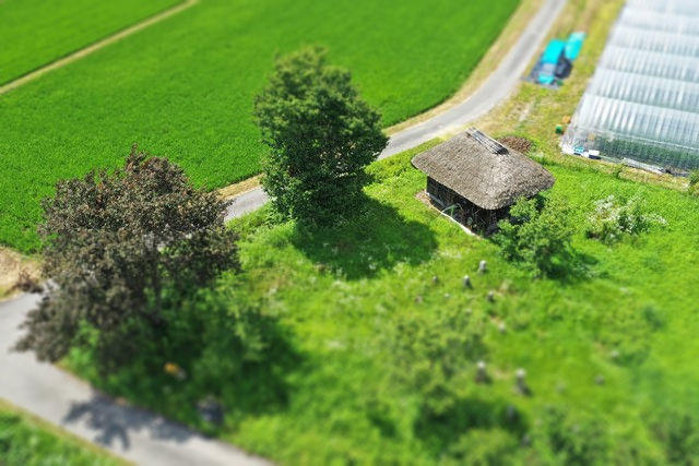 DJI_0691t.jpg