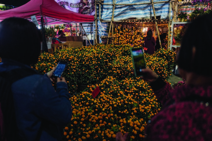 Flower Markets (Kumquats) 1.jpg