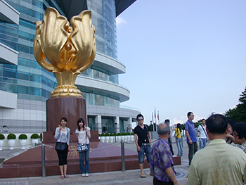 001 golden bauhinia square.jpg