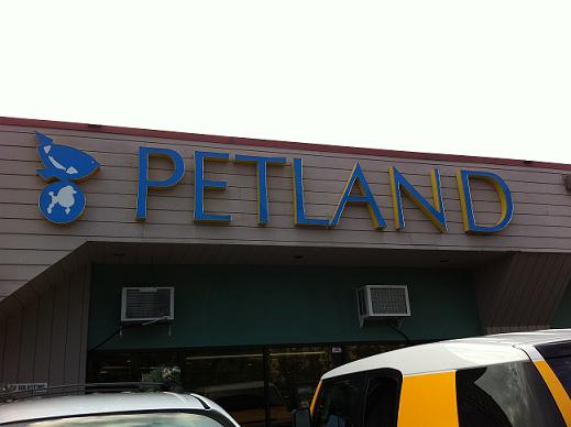 2011年1月　地球の歩き方 Petland.jpg