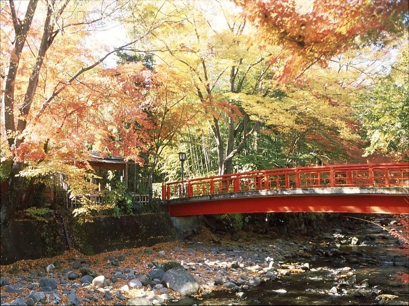 紅葉・桂橋01.jpg