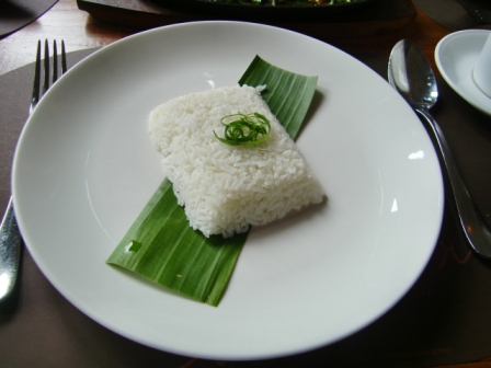 Nasi putih seribu rasa.JPG