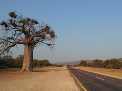 1308_mapungubwe20.jpg