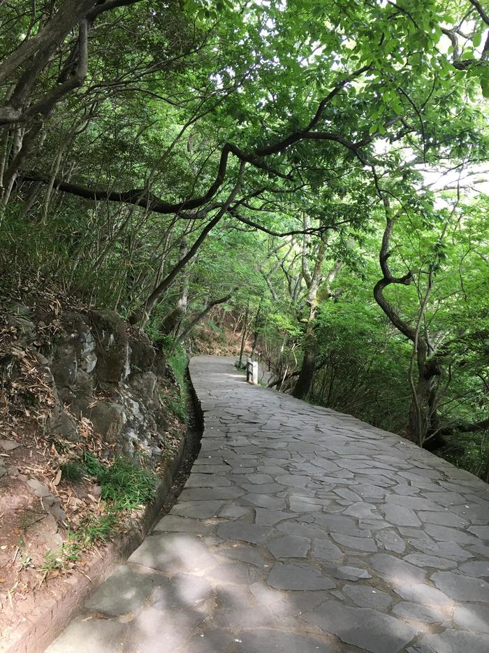 屋島登山道のサムネイル画像