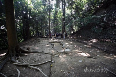 瀧本坊発掘現場.jpg