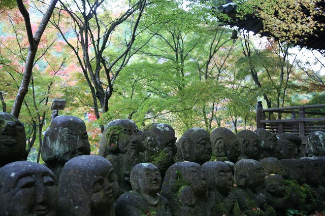 ・晩秋嵯峨野 105.jpg