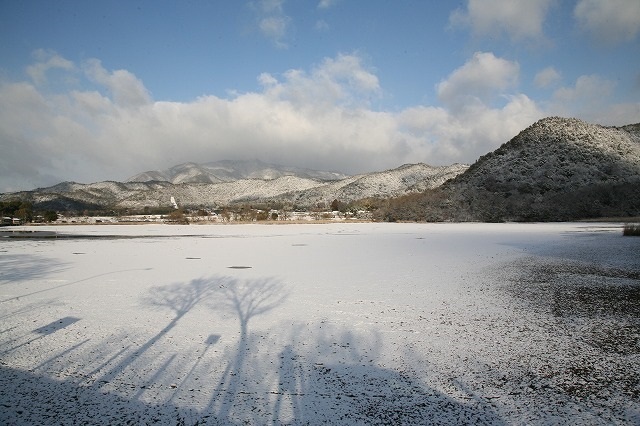 京・雪景色 083.jpg