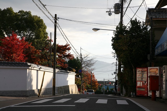 光悦寺・紅葉 014.jpg