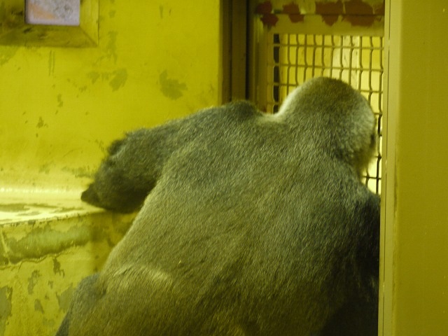 動物園3.jpg