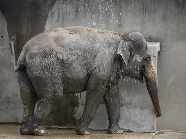 動物園6.jpg