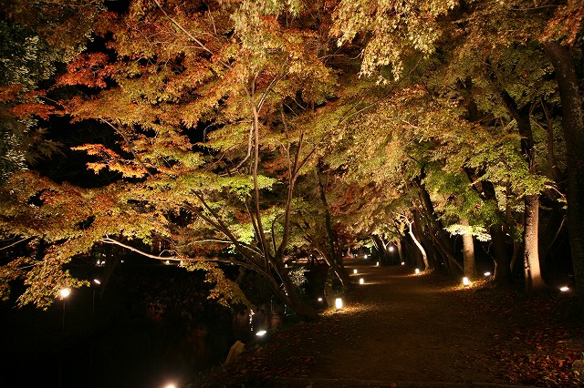 大覚寺と月・紅葉 034.jpg