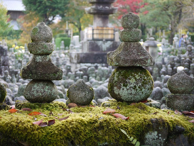 奥嵯峨野･紅葉 072.jpg