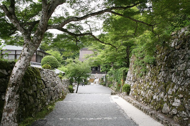 宝泉院 003.jpg