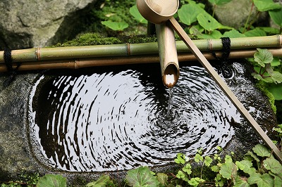 宝泉院 038.jpg