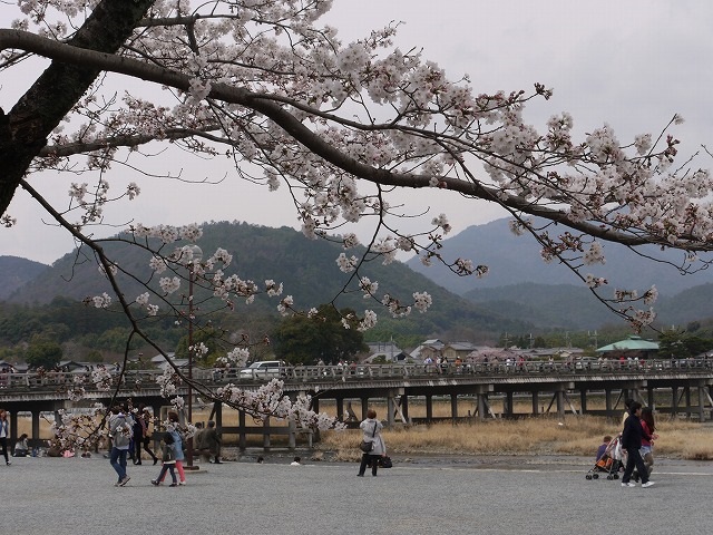 嵐山 渡月橋.jpg