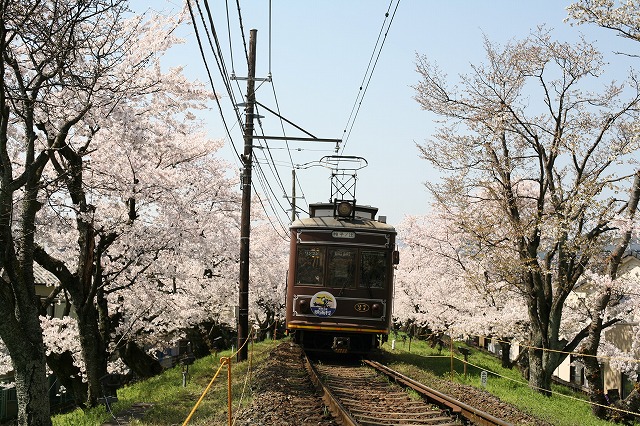 嵐電北野線 028.jpg