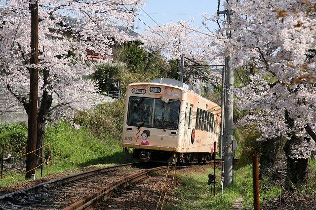 嵐電北野線 039.jpg